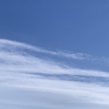 CF248B8B-FEC7-497A-9FDB-2424AACA055C.jpeg